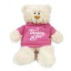 fay-lawson-super-soft-cuddly-cream-teddy-bear-with-pink-hoodie