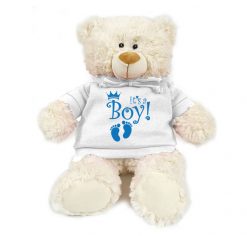 Boy Teddy Bear