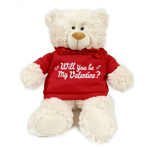 Teddy Bear For Girlfriend Valentines
