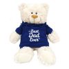 fay-lawson-cuddly-cream-small-teddy-bear-with-blue-hoodie