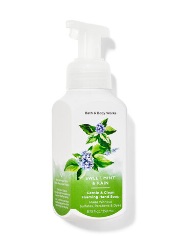 Body Works Hand Soap