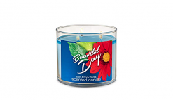 Best 3 Wick Candles Bath And Body Works