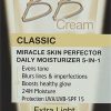 Garnier Skin Naturals bb Cream
