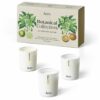 aery-living-botanical-3-x-candle-gifts-set