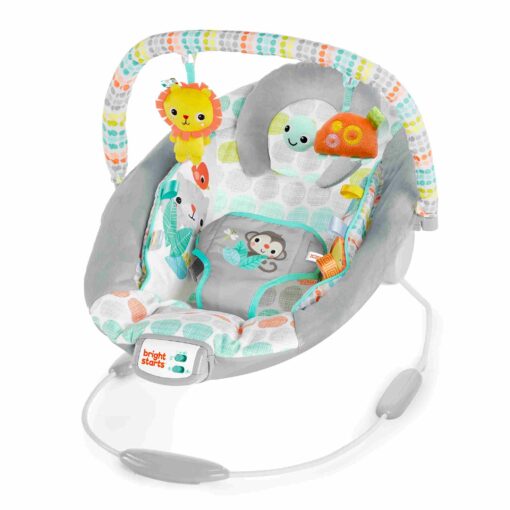 bright-starts-cradling-bouncer-whimsical-wild